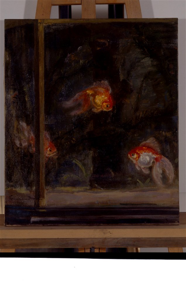 Poissons phosphorescents du Japon - Jeanne Denise - musée d'art et d'histoire de Saint-Brieuc, DOC 93
