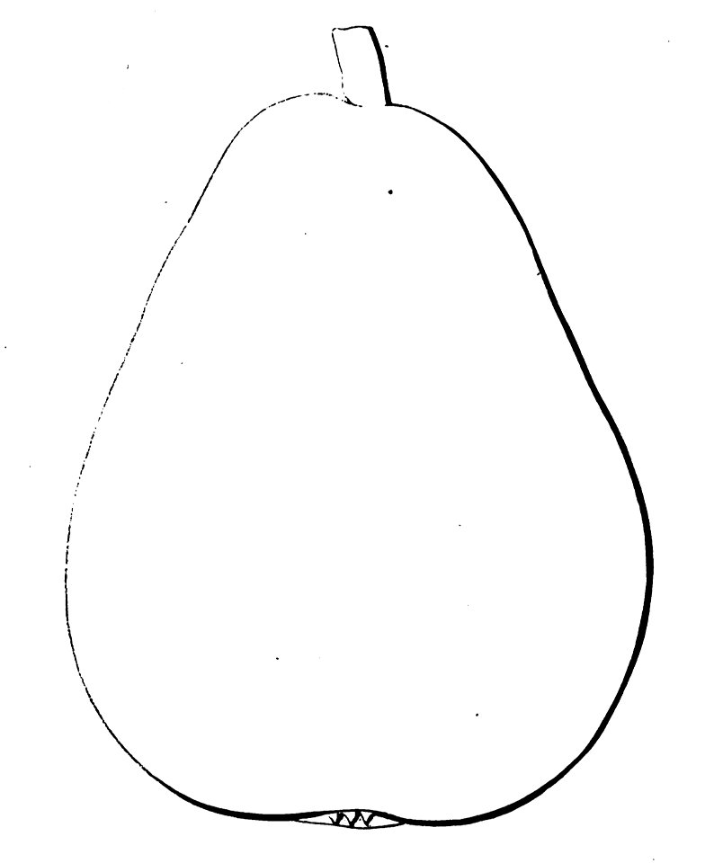 Pomone tournaisienne, Dumortier, 1869 (page 69) - Triomphe Dumont