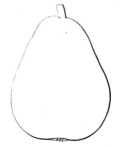 Pomone tournaisienne, Dumortier, 1869 (page 69) - Triomphe Dumont