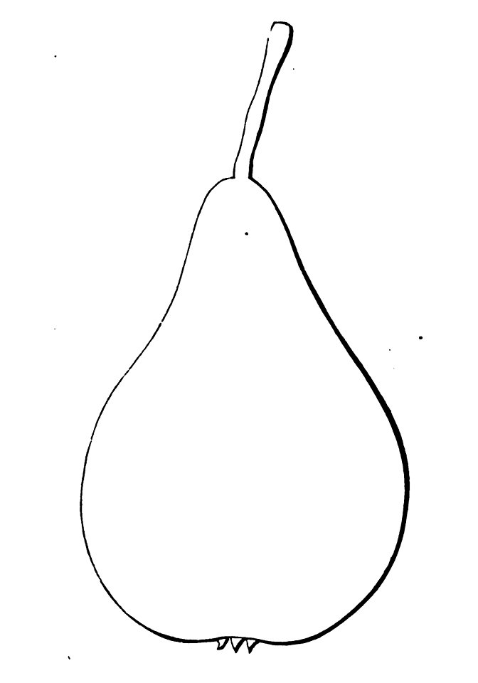 Pomone tournaisienne, Dumortier, 1869 (page 61) - Petite Charlotte