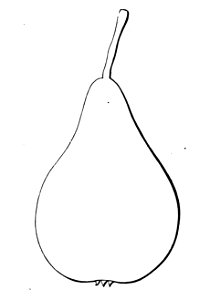 Pomone tournaisienne, Dumortier, 1869 (page 61) - Petite Charlotte