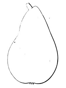 Pomone tournaisienne, Dumortier, 1869 (page 65) - Gris de Chin