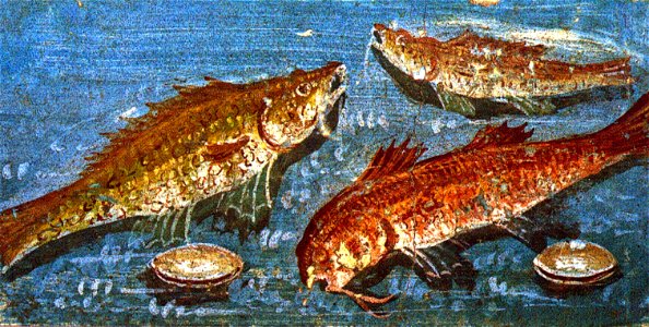 Pompeii - Casa dei Casti Amanti - Still life with Fishes
