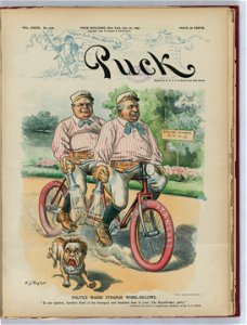Politics makes strange wheel-fellows - C.J. Taylor. LCCN2012648539