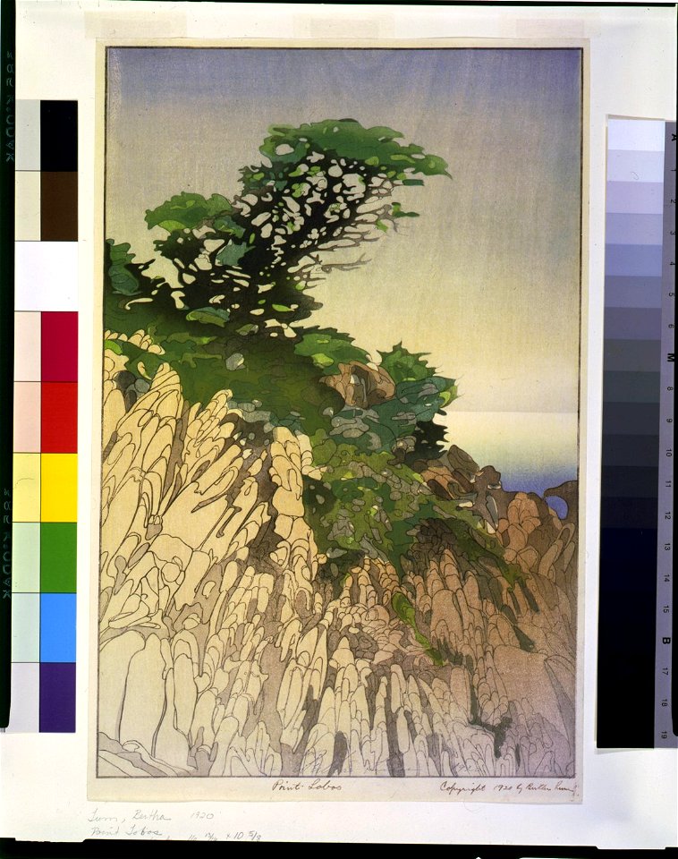 Point Lobos - Bertha Lum. LCCN93509852