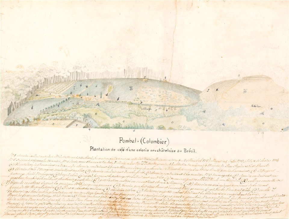 Pombal = (Colombier) Plantation de café d´une colonie neuchâteloise au Brésil, da Coleção Brasiliana Iconográfica