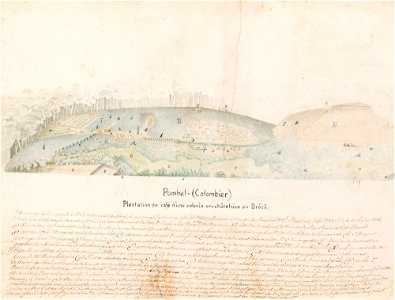 Pombal = (Colombier) Plantation de café d´une colonie neuchâteloise au Brésil, da Coleção Brasiliana Iconográfica