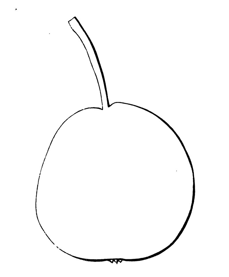Pomone tournaisienne, Dumortier, 1869 (page 63) - Poire Saint-Jean