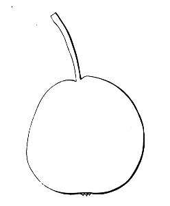 Pomone tournaisienne, Dumortier, 1869 (page 63) - Poire Saint-Jean