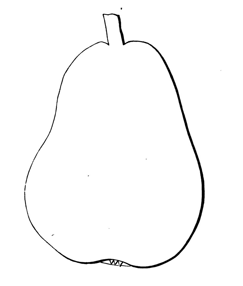 Pomone tournaisienne, Dumortier, 1869 (page 53) - Médaille d'été