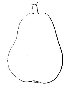 Pomone tournaisienne, Dumortier, 1869 (page 53) - Médaille d'été