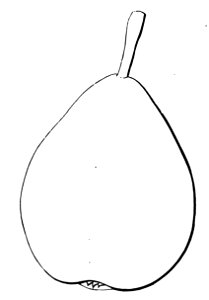 Pomone tournaisienne, Dumortier, 1869 (page 111) - Beurré Saint-Aubert
