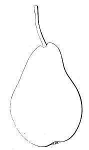 Pomone tournaisienne, Dumortier, 1869 (page 90) - Ste Dorothée (autre)