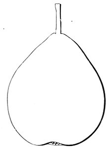 Pomone tournaisienne, Dumortier, 1869 (page 97) - Délices de Froyennes