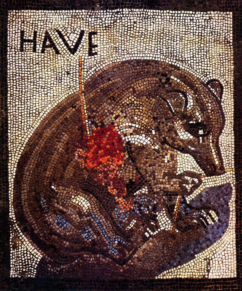 Pompeii - Casa dell Orso Ferito - Bear Mosaic