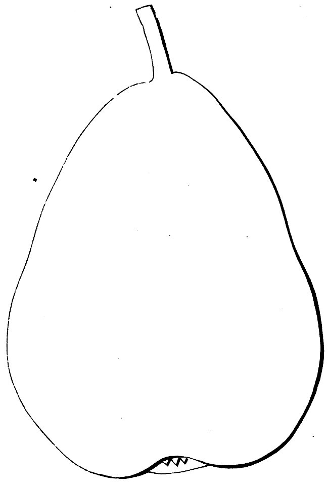 Pomone tournaisienne, Dumortier, 1869 (page 107) - Beurré Dumont