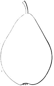 Pomone tournaisienne, Dumortier, 1869 (page 79) - Beurré Dilly