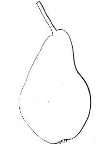Pomone tournaisienne, Dumortier, 1869 (page 57) - Calebasse à la Reine