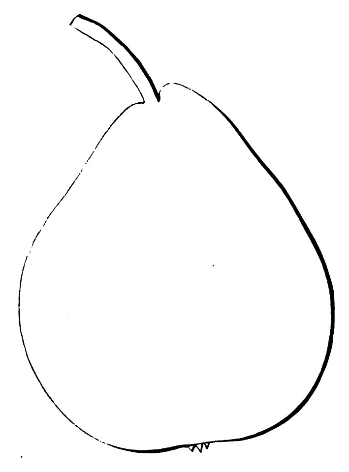 Pomone tournaisienne, Dumortier, 1869 (page 73) - Seigneur Dachy