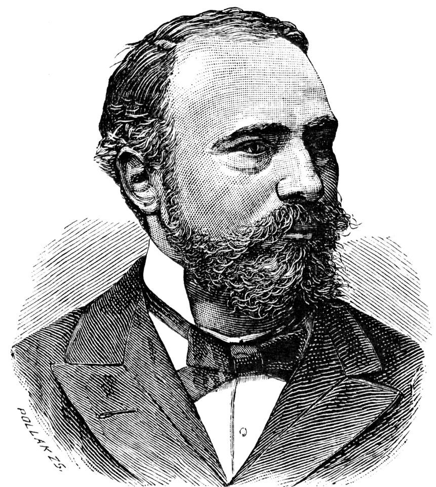 Pollák Portrait of Ignác Darányi