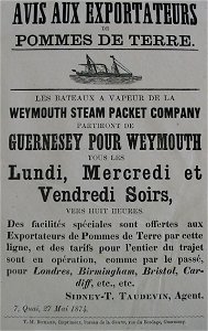 Pommes de terre Guernesey 1874