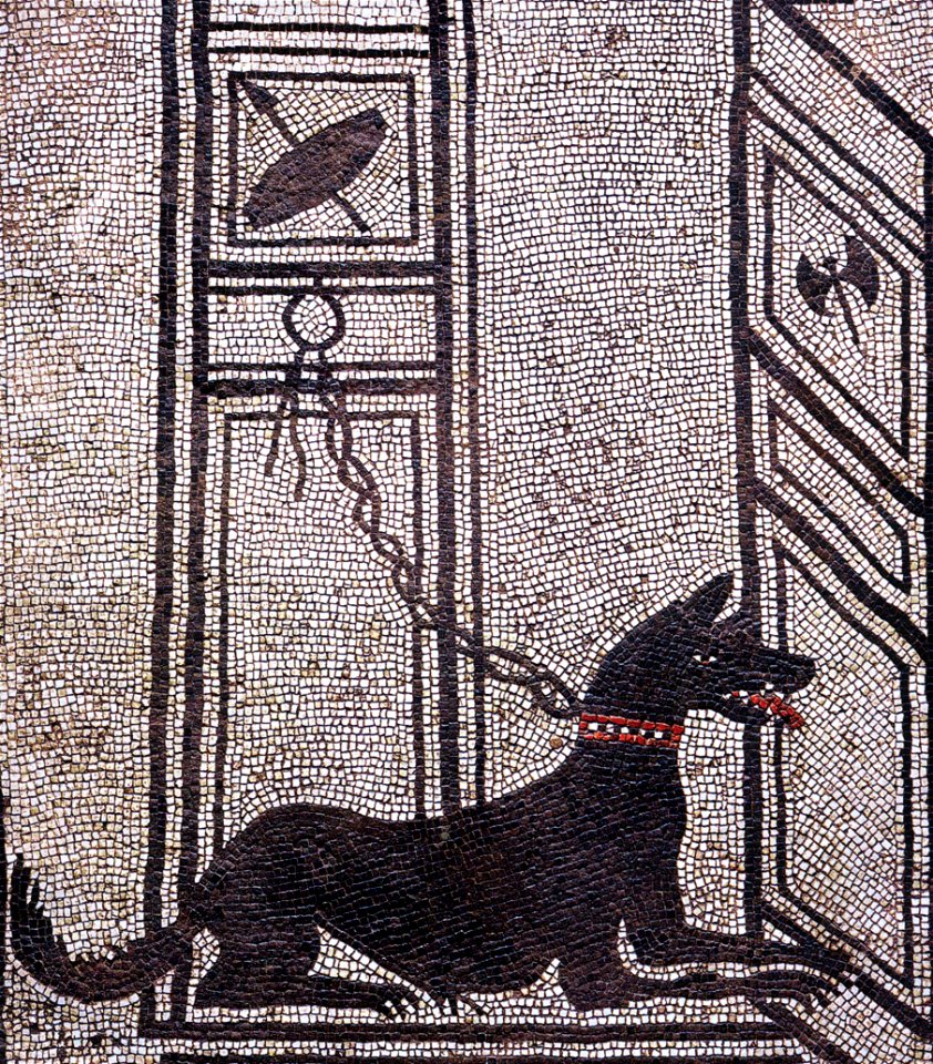 Pompeii - Casa di Paquius Proculus - Watchdog