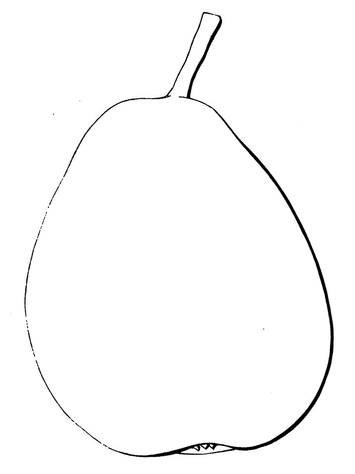 Pomone tournaisienne, Dumortier, 1869 (page 105) - Beurré Pringalle