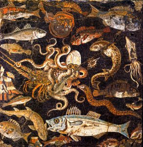 Pompeii - House VIII, 2, 16 - MAN 120177