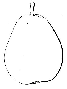 Pomone tournaisienne, Dumortier, 1869 (page 75) - Doyenné d'Antoing