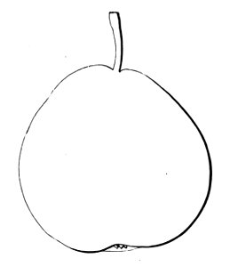 Pomone tournaisienne, Dumortier, 1869 (page 67) - Marquise d’Hem