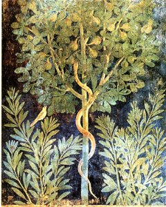 Pompeii - Casa del Frutteto - Fig tree