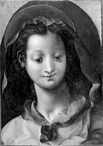 Pontormo (Jacopo Carrucci da Pontormo) - Bust of the Virgin - 1989.1 - Fogg Museum
