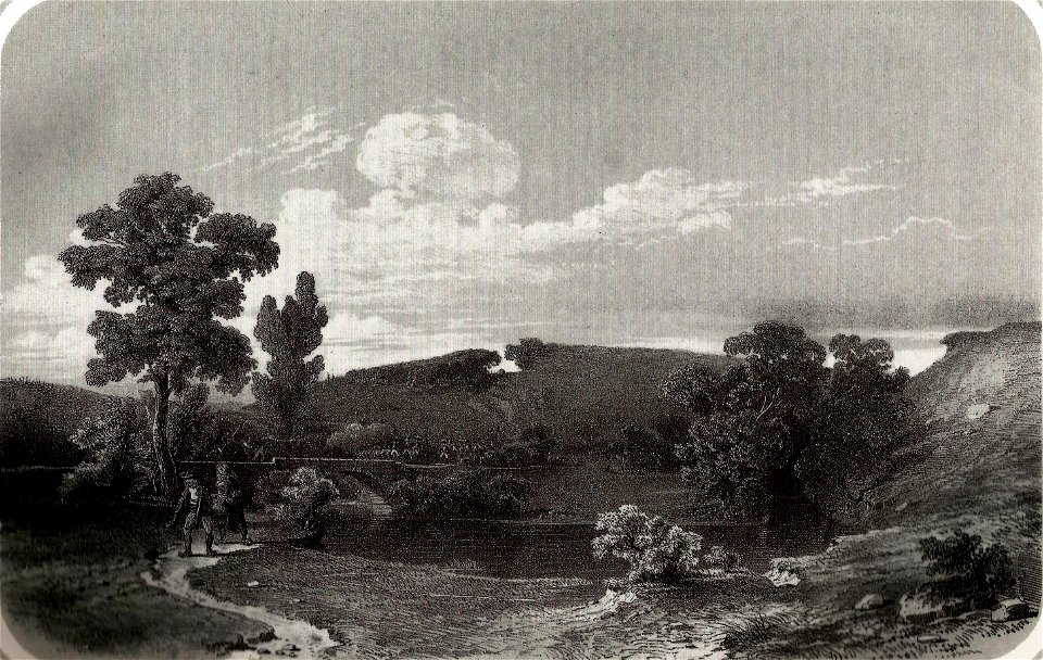 Pont Charron Chantonnay Thomas Drake