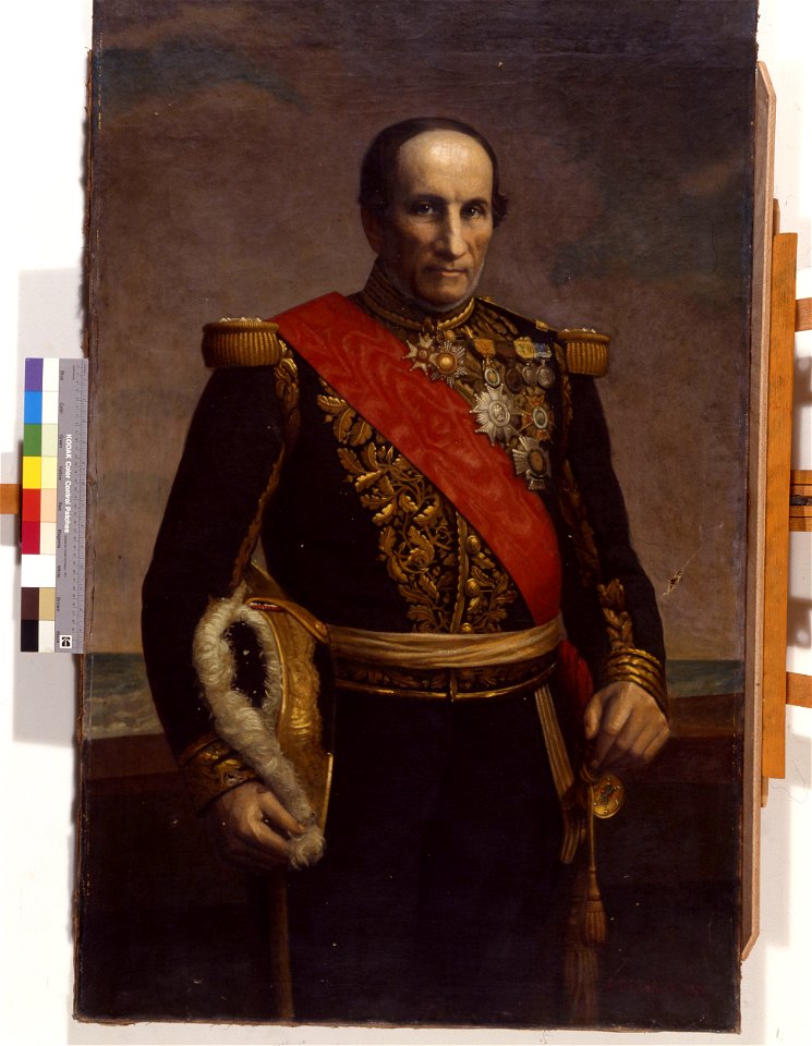 Portrait de l'amiral Charner - Adolphe Dervaux - musée d'art et d'histoire de Saint-Brieuc