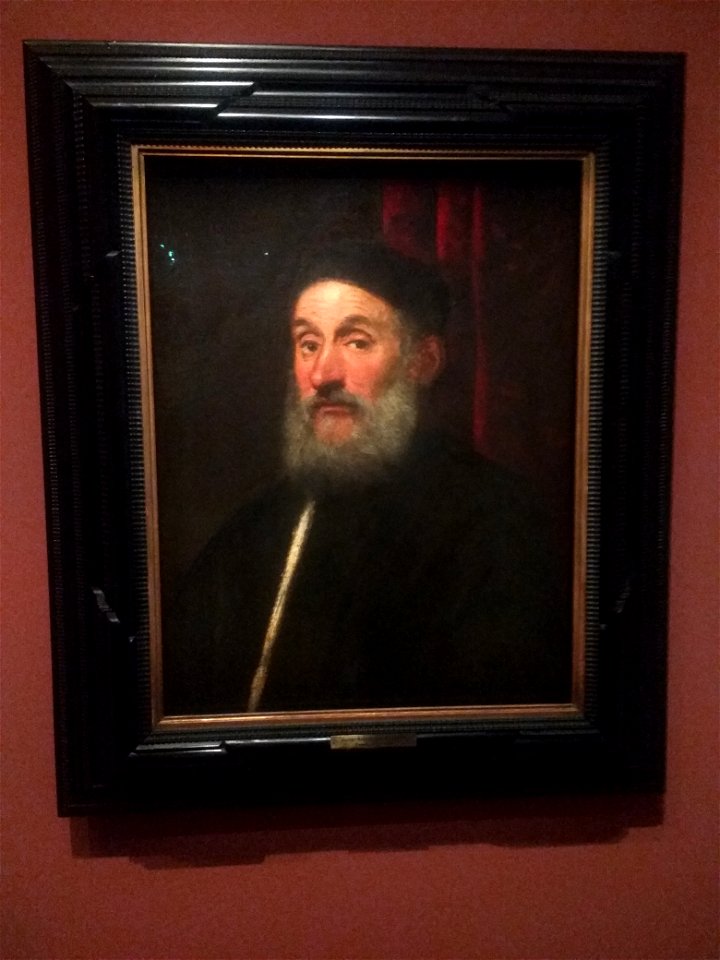 Portrait de Marco Giustignan-tintoret-2