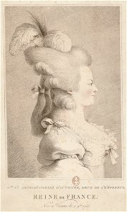 Portrait de Marie-Antoinette, en buste - Etampe 1793. Free illustration for personal and commercial use.