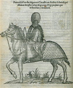 Portrait d'un des seigneurs Circasses ou Arabes à cheval, qui estoient des plus riches seigneurs d'Egypte, lors que le - Belon Pierre - 1554