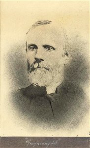 Portrait of 'Gwynionydd' (4672166)