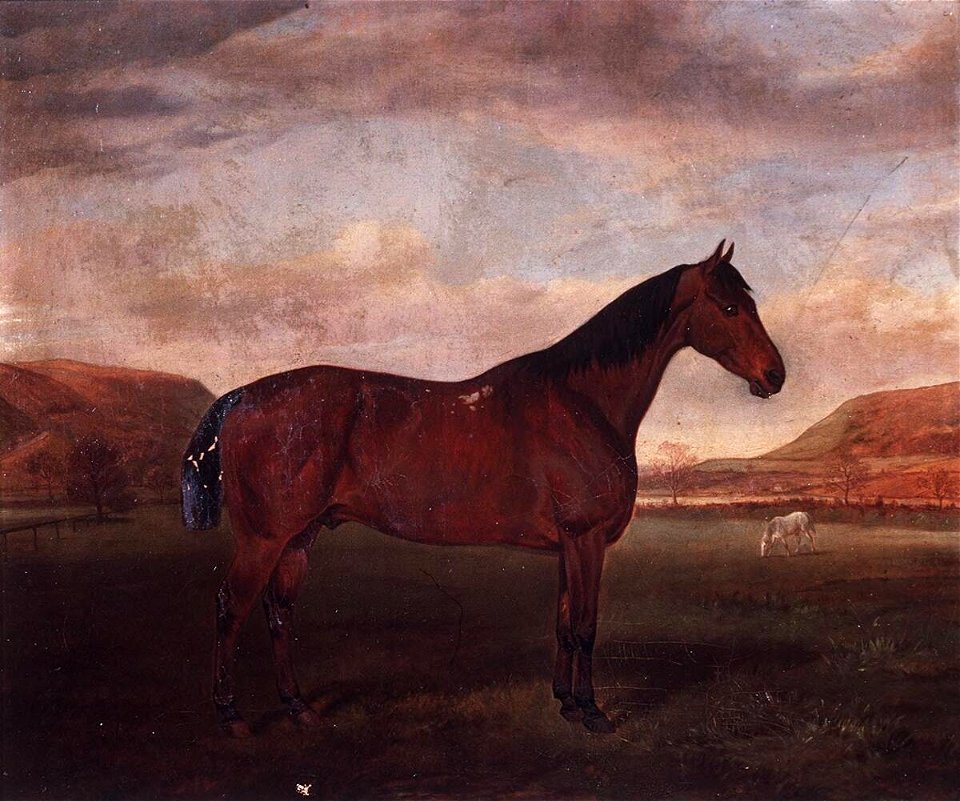 Portrait of a Hunter in landscape