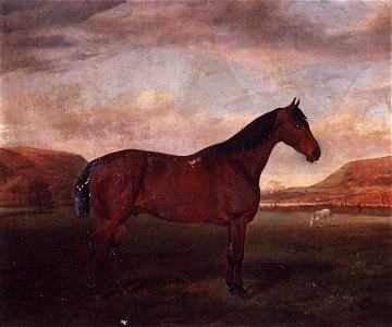 Portrait of a Hunter in landscape