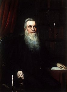 Portrait of a bearded man (4702578)