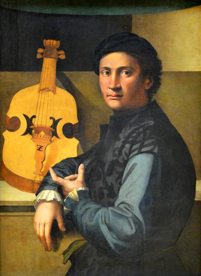 Portrait d'un joueur de viole - Zacchia di Antonio da Vezzano - Q18565928