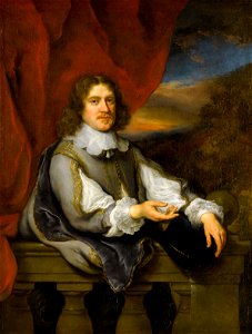 Portrait of a Gentleman (Jan van Hellemont) - Govert Flinck - Google Cultural Institute