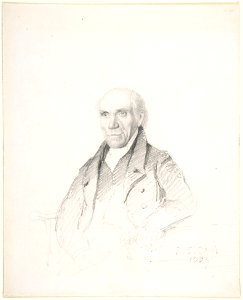 Portrait of a Gentleman (John Scarlett Davis)
