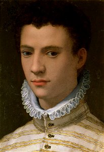 Portrait of a Young Man (by Agnolo Bronzino) - Musée des Beaux-Arts, Nantes
