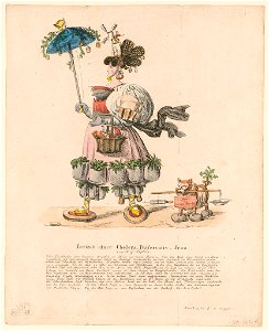 Portrait einer Cholera-Präservative-Frau, von M.G. Saphir - Nürnberg bei P.C. Geissler. LCCN91729518