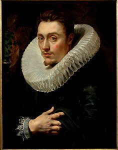 Portrait of a Young Man (by Peter Paul Rubens) - color shades version 1