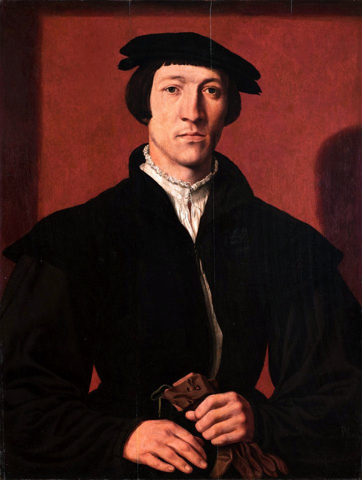 Portrait of a man, by Maarten van Heemskerck