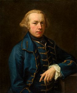 Portrait of a Gentleman A13838