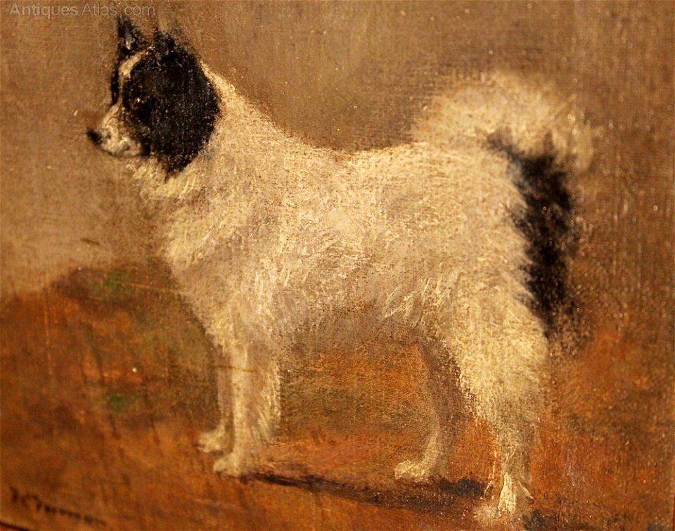 Portrait of a black and white dog by Frances C. Fairman
